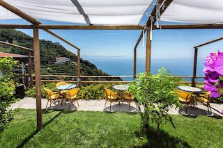 フィコ ディンディア レライス