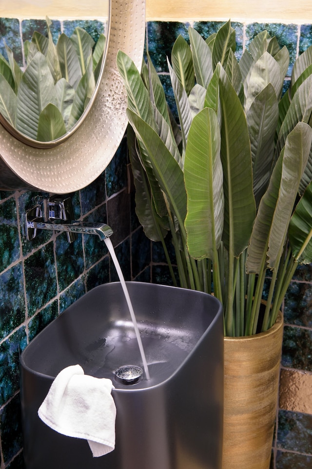 トルナブオーニ スイーツ コレクション