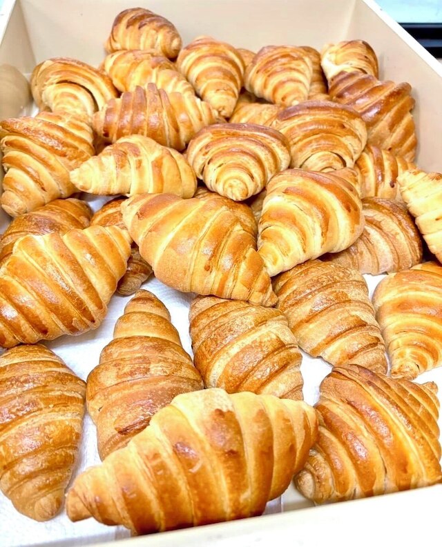 ルーイ パレス ホテル