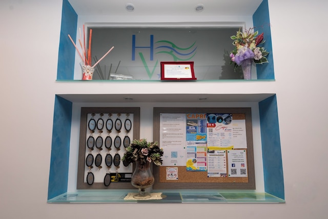 バイア ヴェルデ