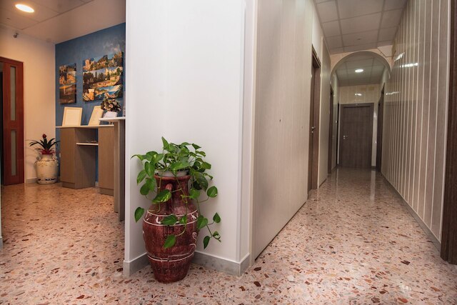 バイア ヴェルデ