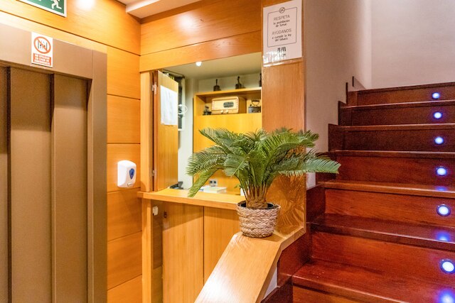 ウィンザー プエルタ デル ソル