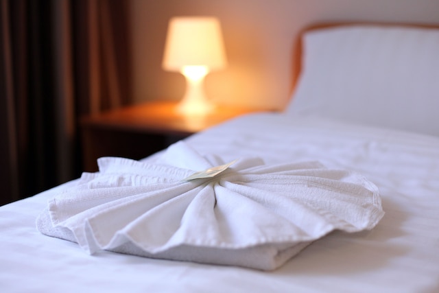 ホテル ペンション エレジア