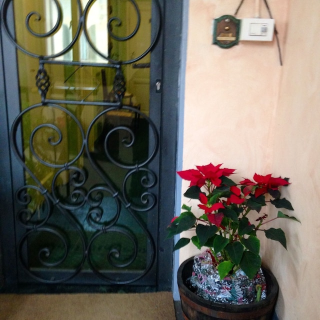 ホテル ジャッポーネ