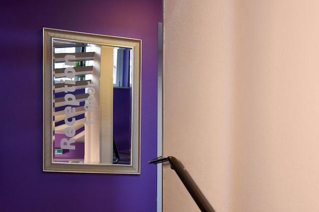 スイス スター カリフォルニア