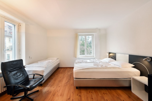 スイス スター カリフォルニア