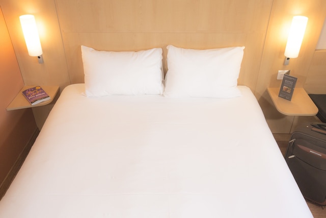 イビス リール ロンム サントル