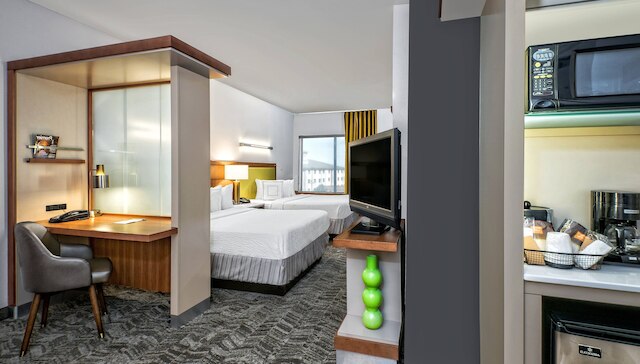 スプリングヒル スイーツ バイ マリオット サン アントニオ エアポート