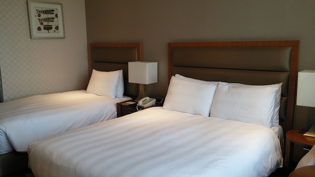 ロッテ シティ ホテル 麻浦