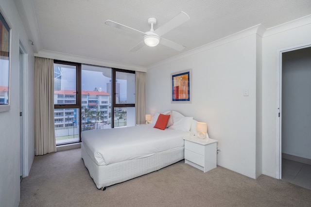 サーファーズ アクエリアス