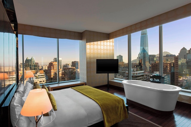 W サンティアゴ