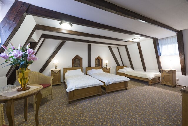 ホテル ツェルニー スロン