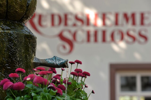 ブリューワーズ リューデスハイマー シュロス