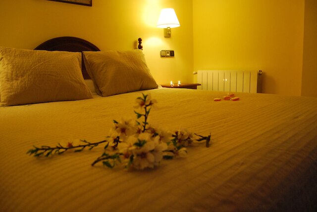 ラ エンシナ センテナリア