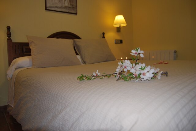 ラ エンシナ センテナリア