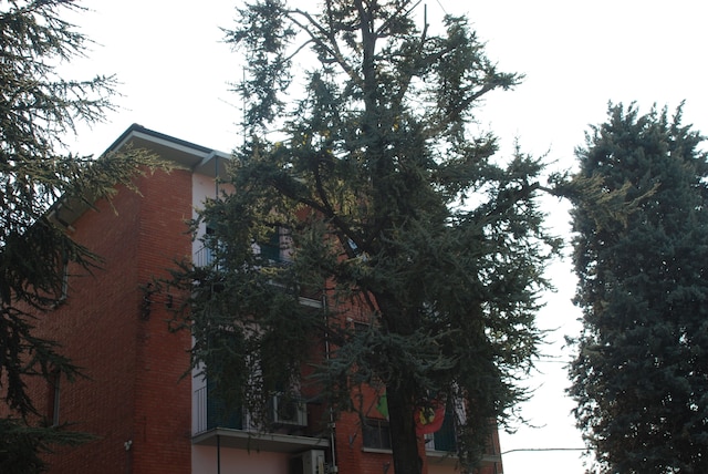 ホテル ツスコラーノ