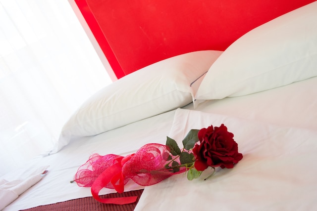 ミニホテル イリス