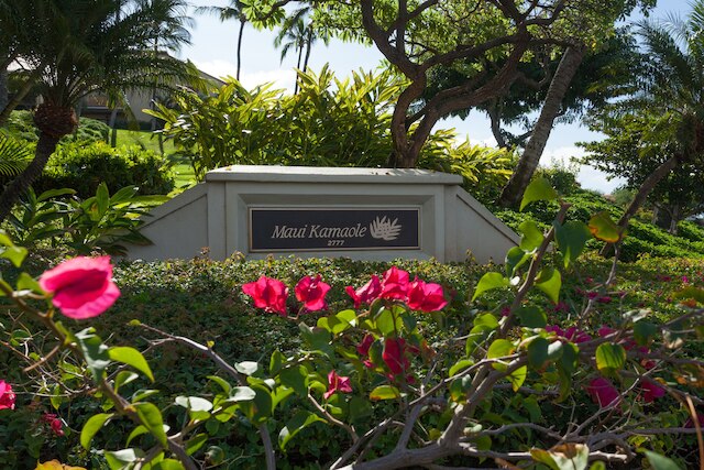 マウイカマオレ