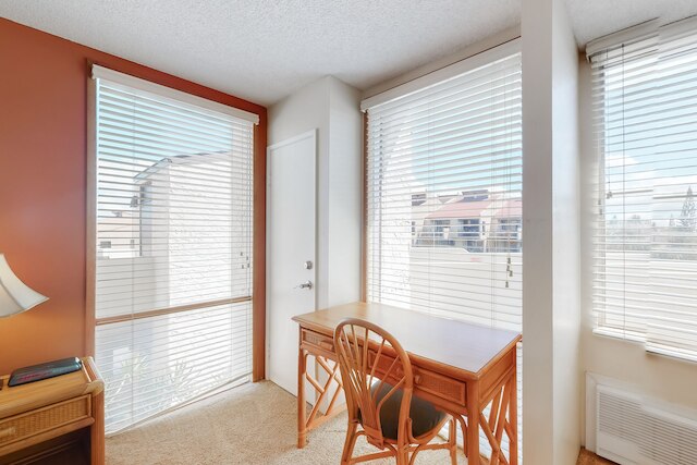 ヘール・カマオレ