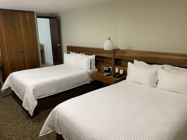 ウィンダム ガーデン メキシコ シティ ポランコ