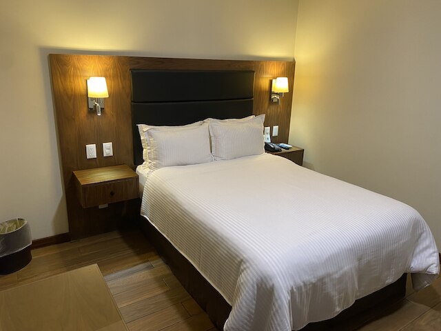 ウィンダム ガーデン メキシコ シティ ポランコ