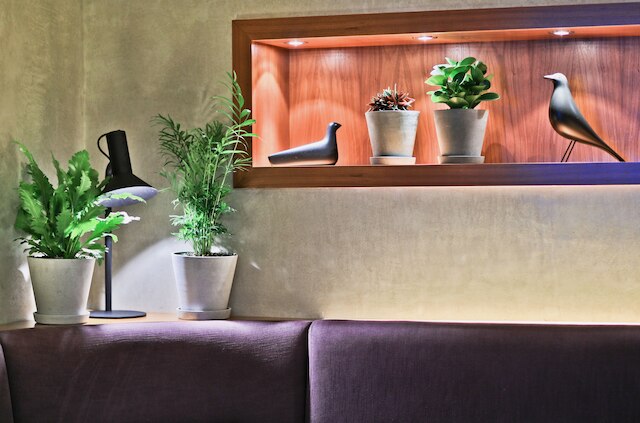 ボタニック ホテル プラハ