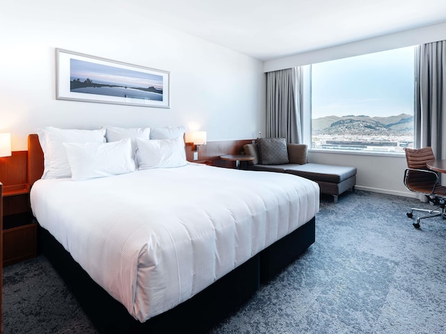 ノボテル クライストチャーチ カセドラル スクエア