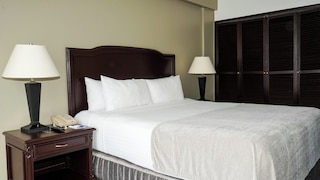 プラザ ホテル アンド スイーツ