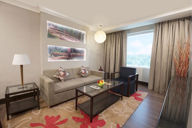 ヒルトン ガーデン イン ニュー デリー / サケット