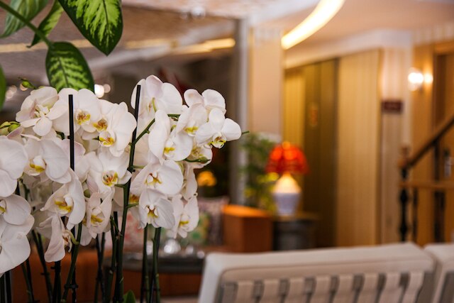 アルミナ ホテル - スペシャル クラス