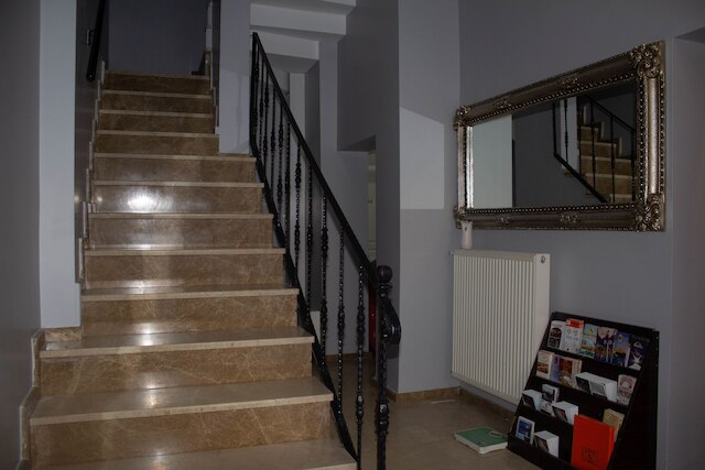 チューリップ ハウス