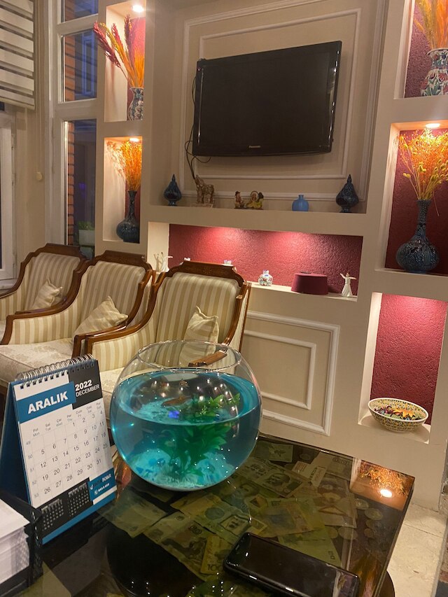 チューリップ ハウス