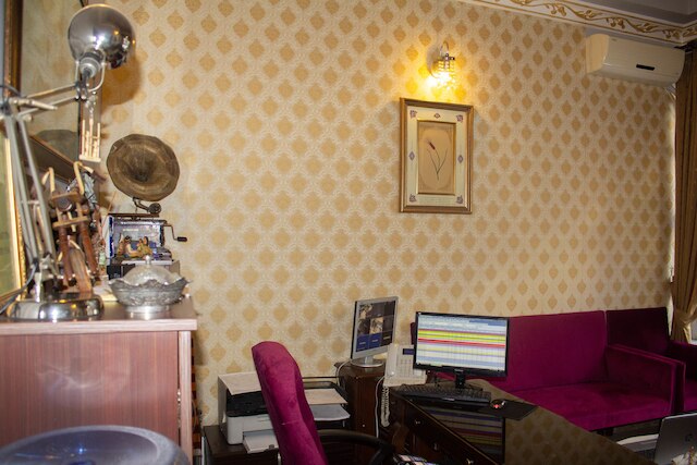 チューリップ ハウス