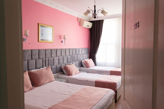 チューリップ ハウス