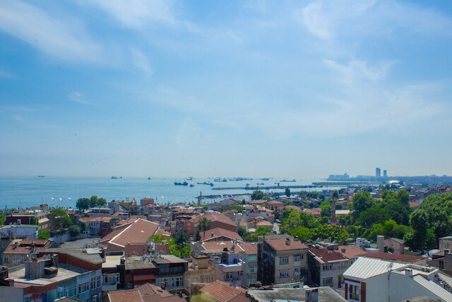 チューリップ ハウス