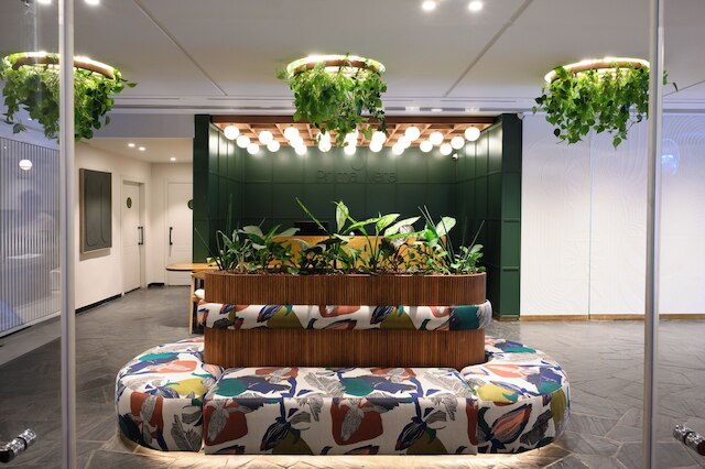 プリマ・ヴェラ