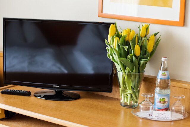 サヴォイ ホテル バート メルゲントハイム