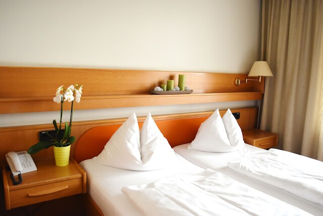 サヴォイ ホテル バート メルゲントハイム