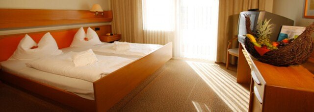 サヴォイ ホテル バート メルゲントハイム