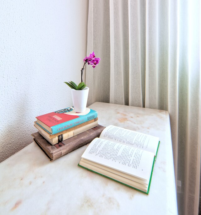 ザ レックス ホテル