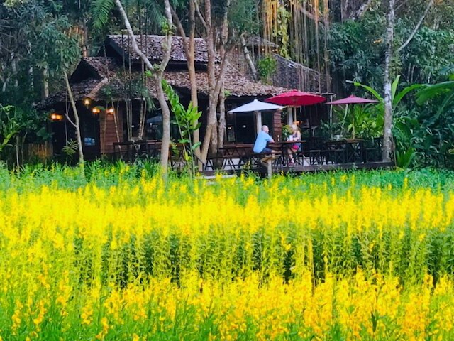 ファーン リゾート