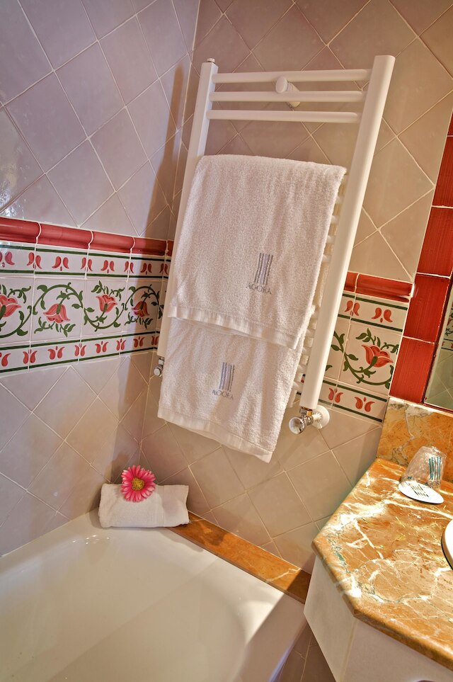 ホテル アゴラ フアン デ オーストリア