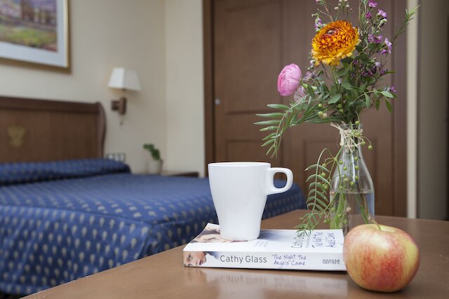 ホテル アゴラ フアン デ オーストリア