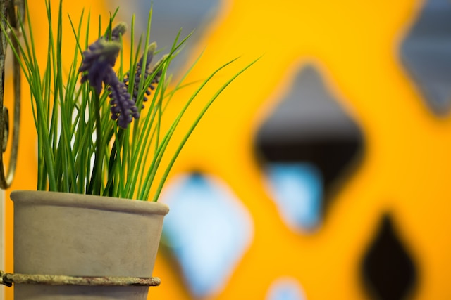 サン シティ ホテル