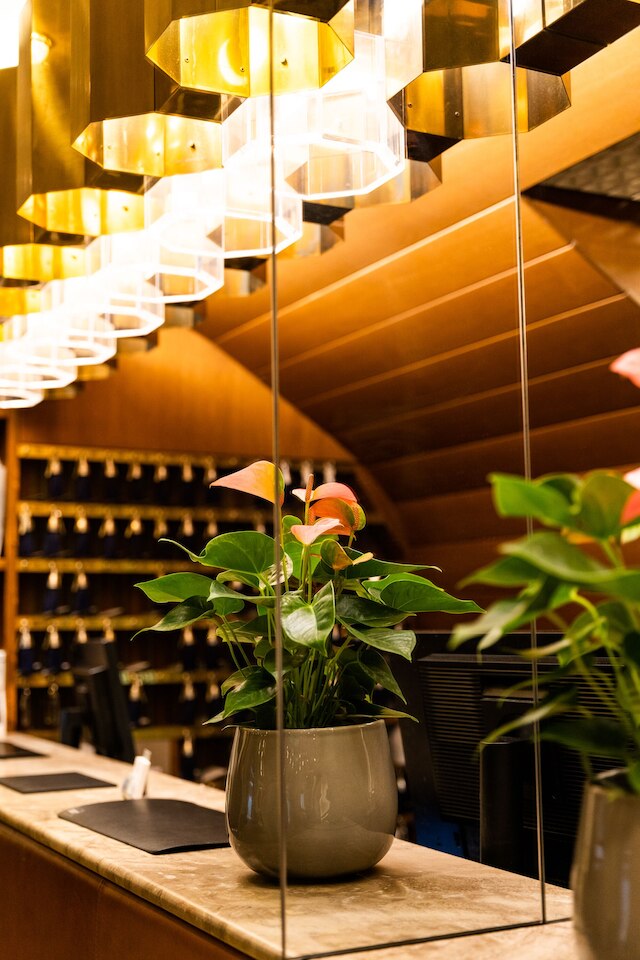 ホテル ロイヤル