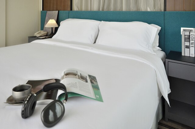 エコ ツリー ホテル コーズウェイ ベイ