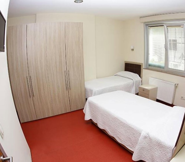 イキズ・パルミエ・キズ・オゲンチ・パンシヨヌ - 女性専用 - ホステル