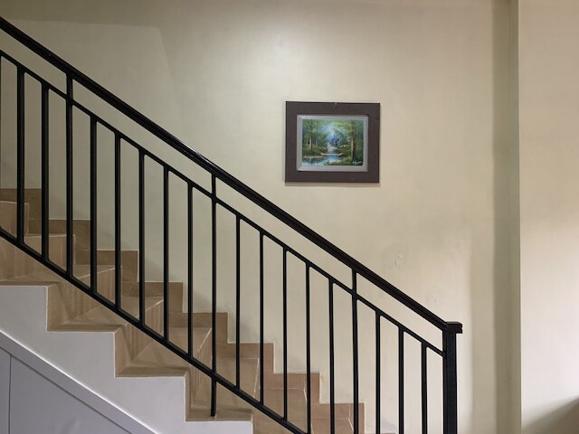 コージー パーム