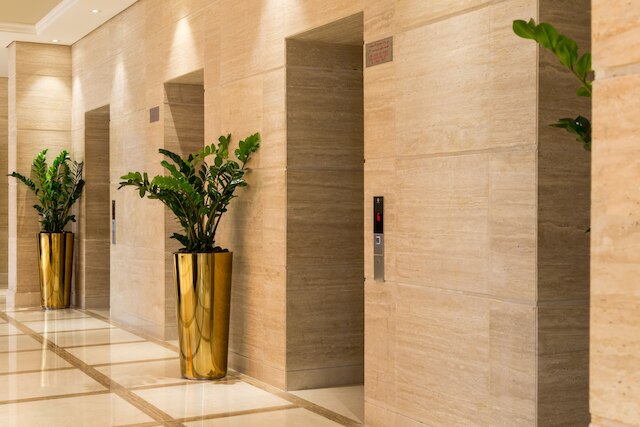 ハイゲスト - モン・レーヴ