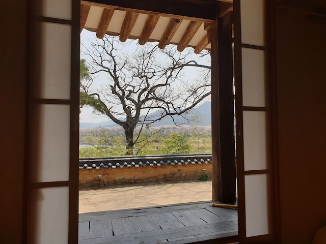 オクヨン パビリオン